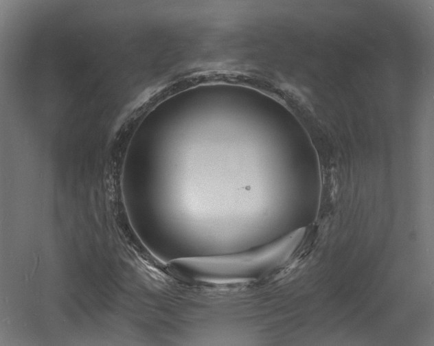 X0000060741159200511101100