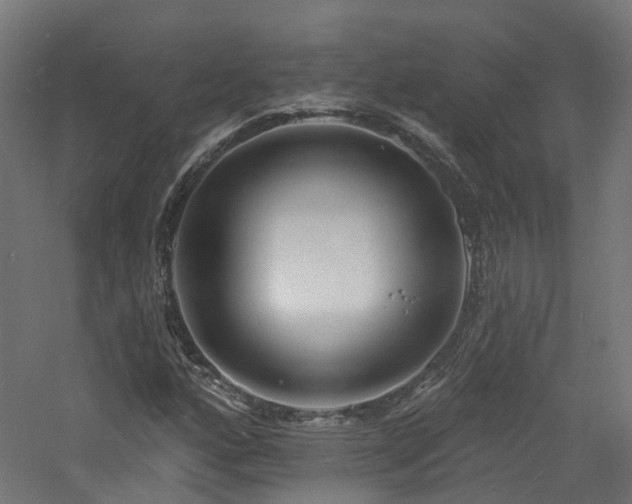 X0000060741160200511101100