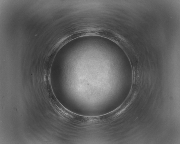 X0000060741161200511101100