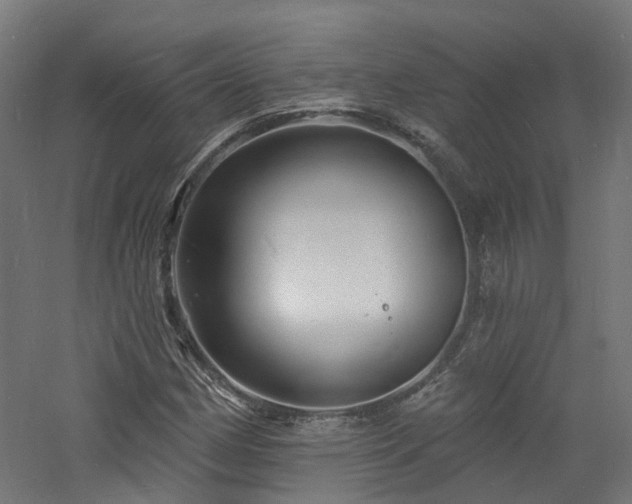 X0000060741162200511101100