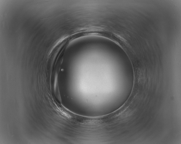 X0000060741163200511101100