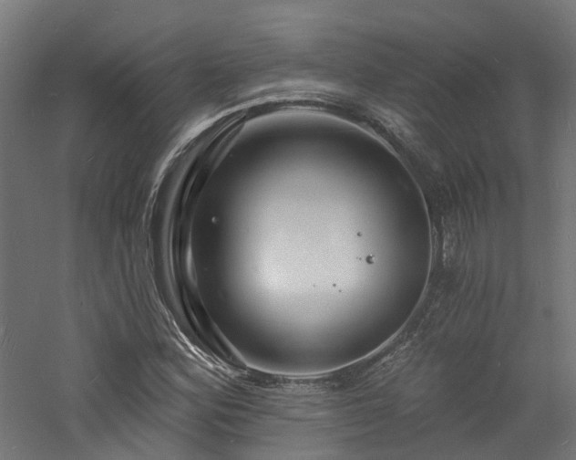 X0000060741164200511101100