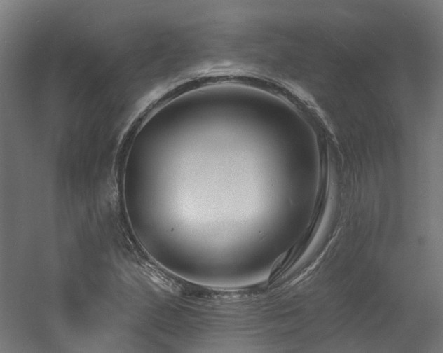 X0000060741167200511101100