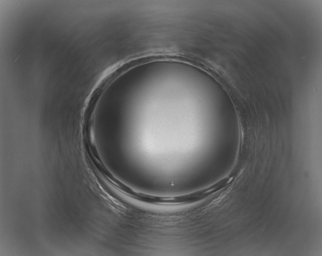 X0000060741168200511101100