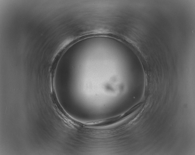 X0000060741171200511101100