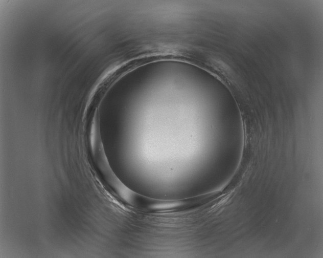 X0000060741172200511101100