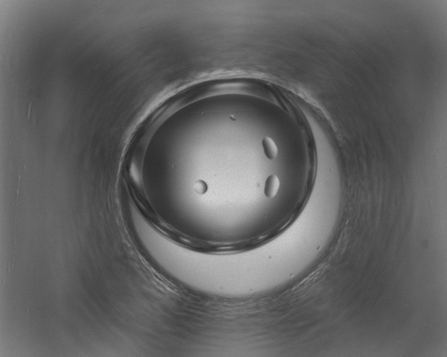 X0000060741173200511101100