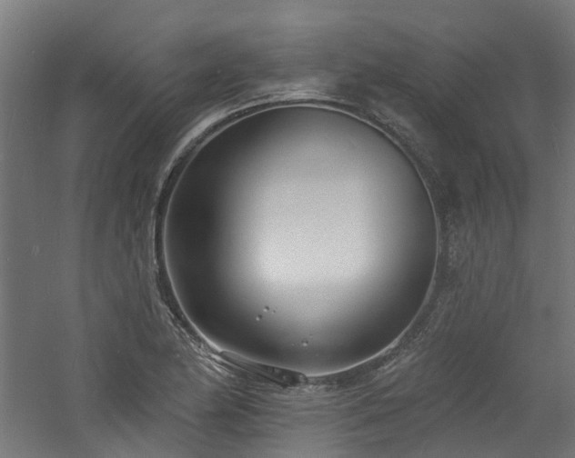 X0000060741174200511101100