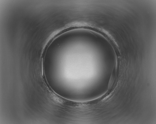 X0000060741175200511101100