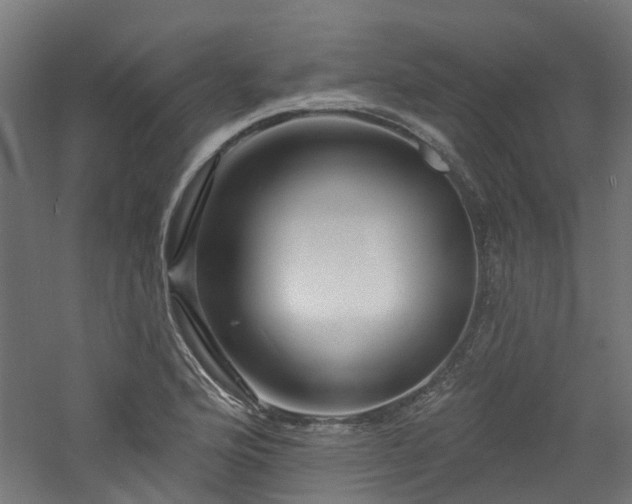 X0000060741176200511101100