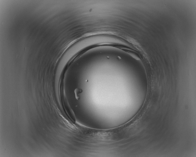 X0000060741177200511101100