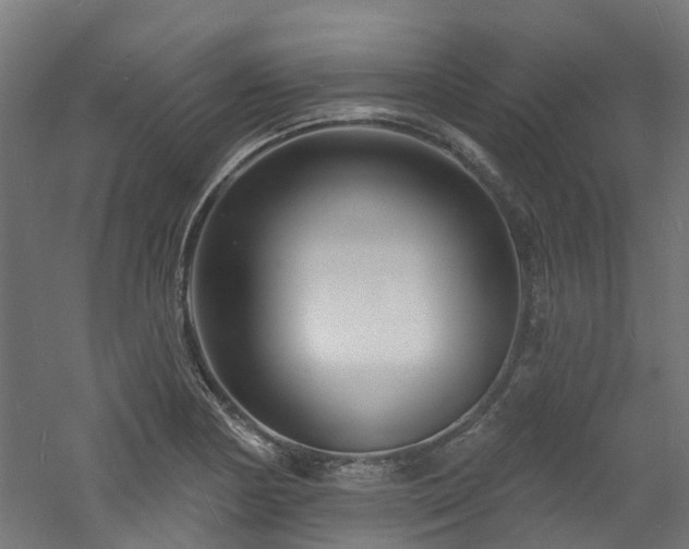 X0000060741178200511101100