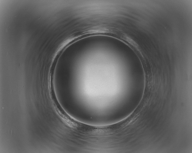 X0000060741179200511101100