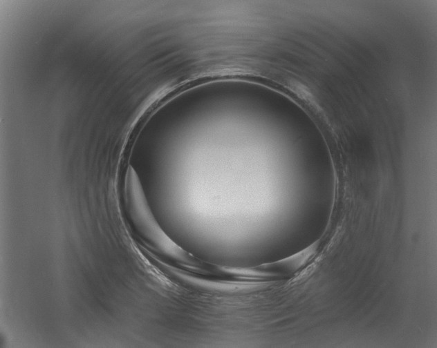 X0000060741181200511101100