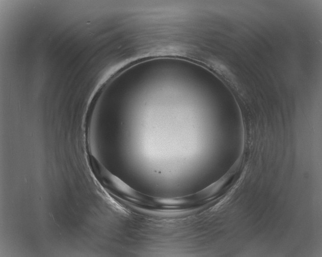 X0000060741184200511101100