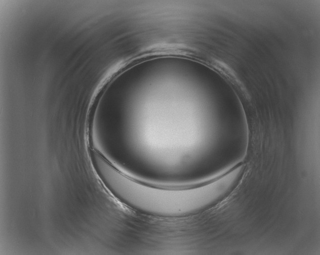 X0000060741188200511101100