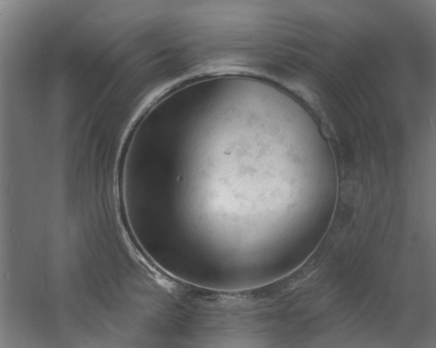 X0000060741191200511101100