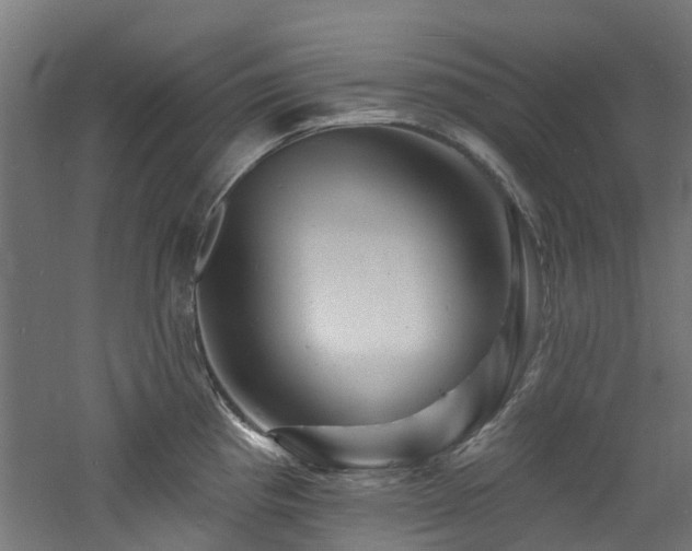 X0000060741193200511101100