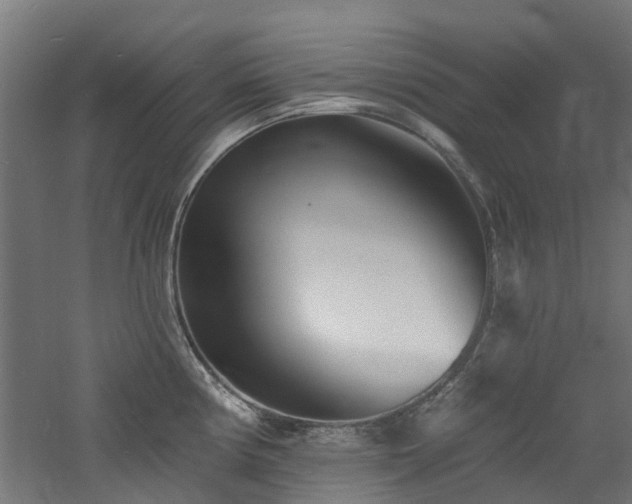 X0000060741194200511101100