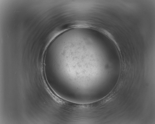 X0000060741195200511101100