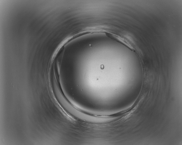 X0000060741196200511101100