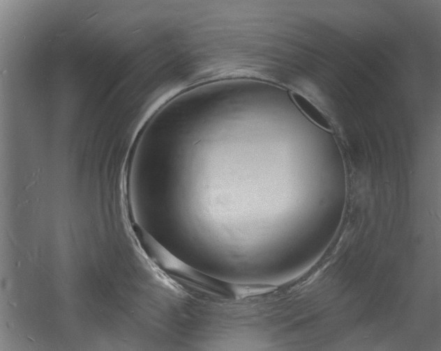 X0000060741198200511101100