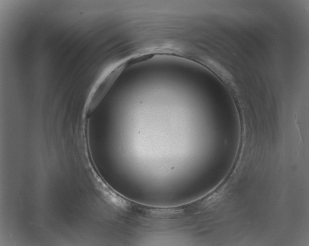 X0000060741200200511101059