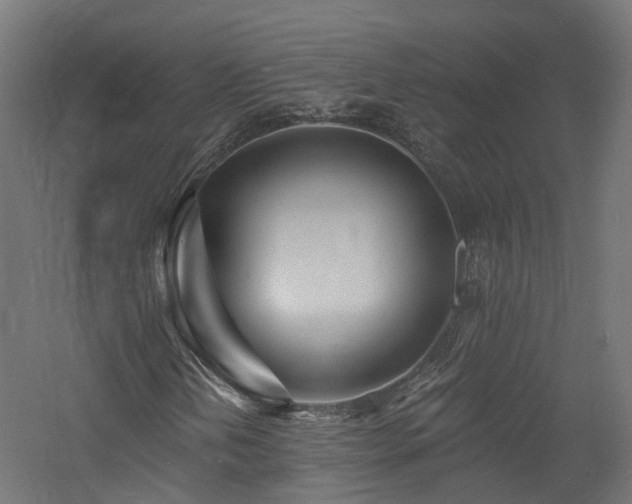 X0000060741202200511101059