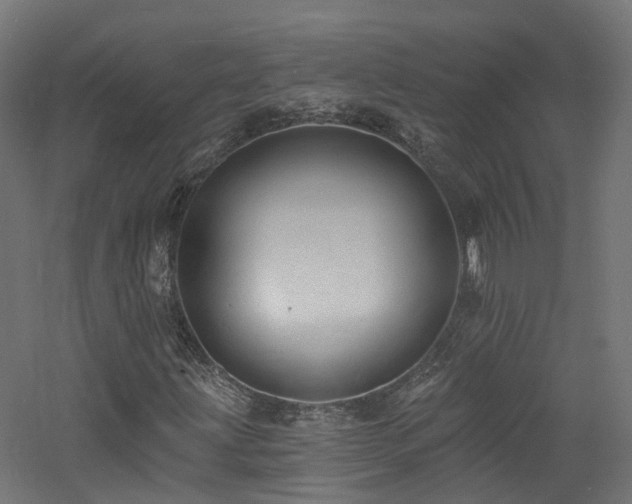 X0000060741203200511101059