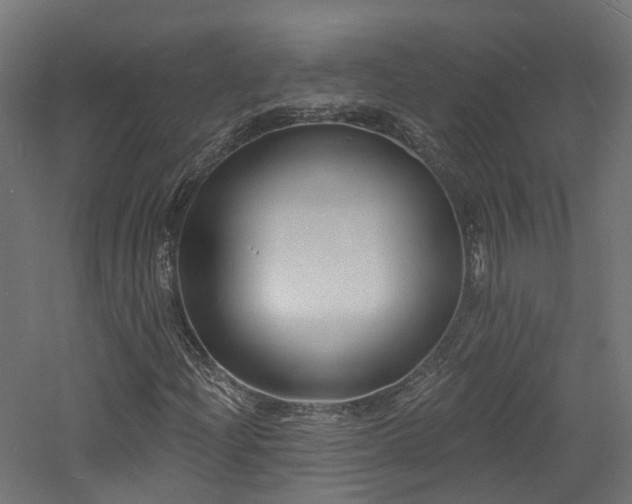 X0000060741204200511101059