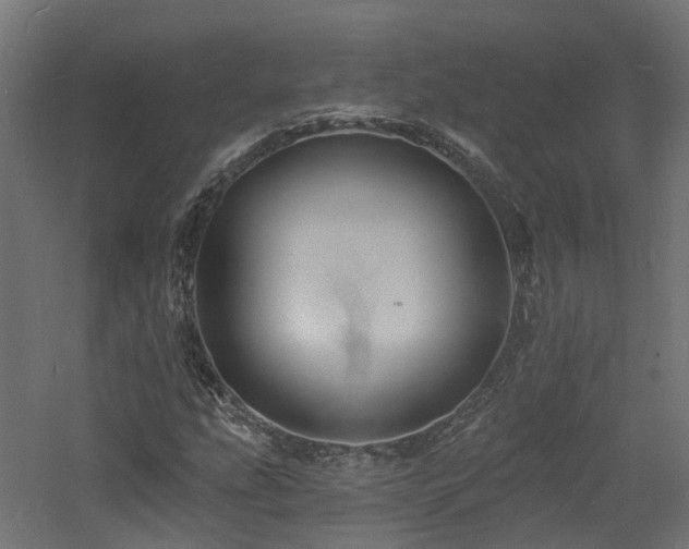 X0000060741207200511101059