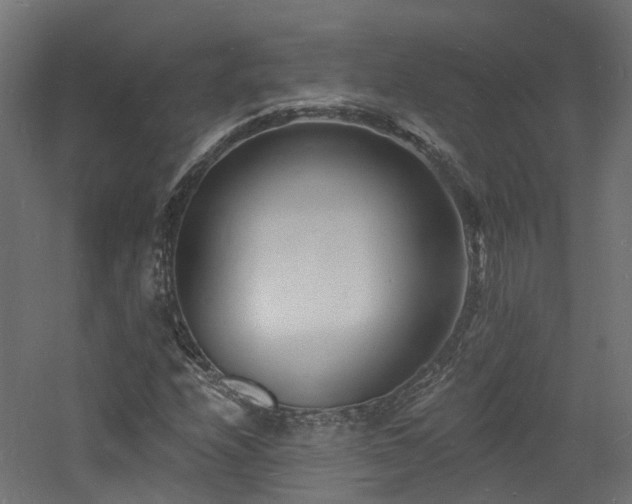 X0000060741208200511101059