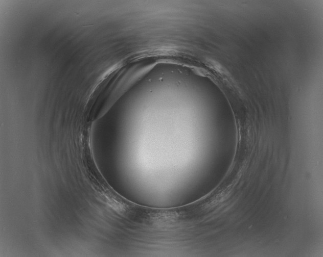 X0000060741210200511101059