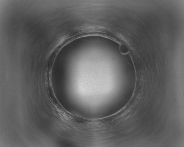 X0000060741211200511101059