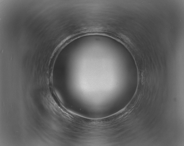 X0000060741212200511101059