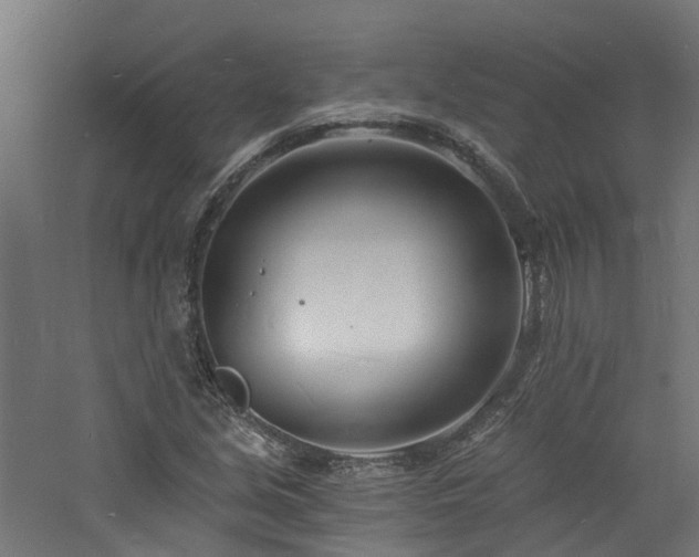 X0000060741213200511101059