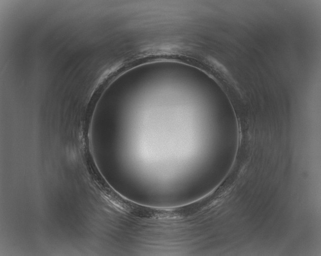 X0000060741218200511101059