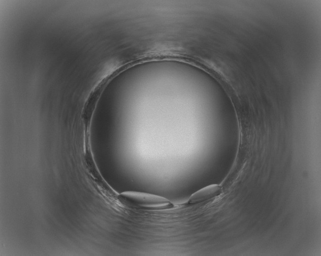 X0000060741219200511101059