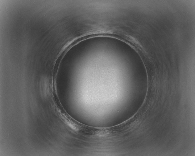 X0000060741220200511101059