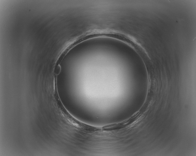 X0000060741221200511101059