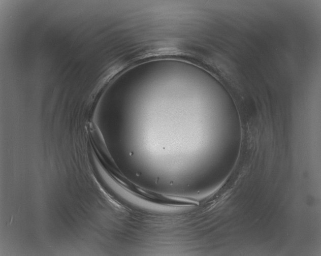 X0000060741225200511101059