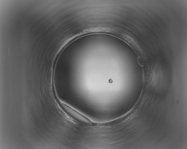 X0000060741228200511101059