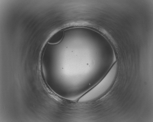 X0000060741232200511101059