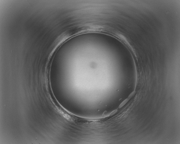 X0000060741235200511101059