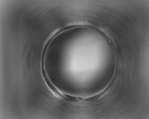 X0000060741237200511101059