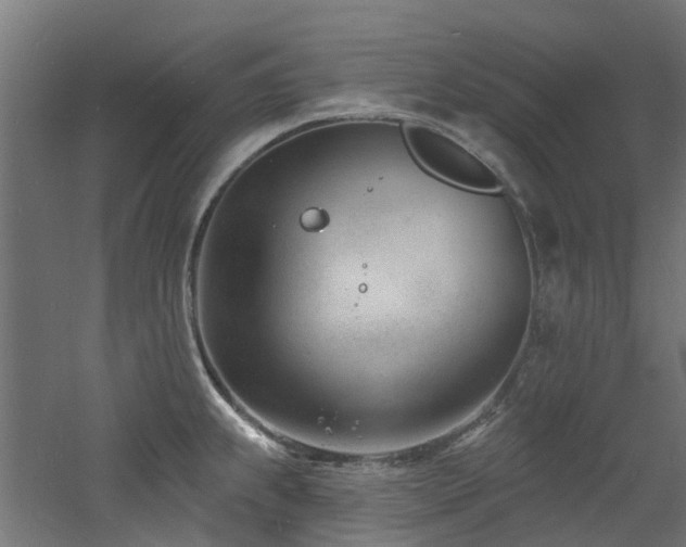 X0000060741239200511101059