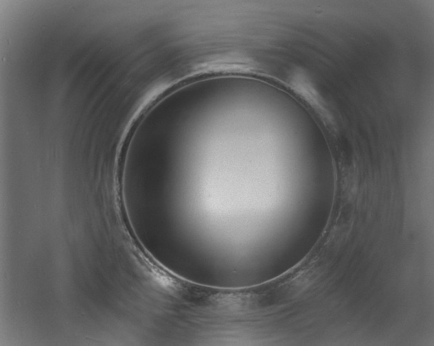 X0000060741240200511101059