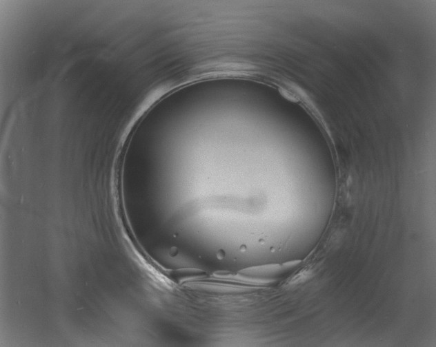 X0000060741243200511101059