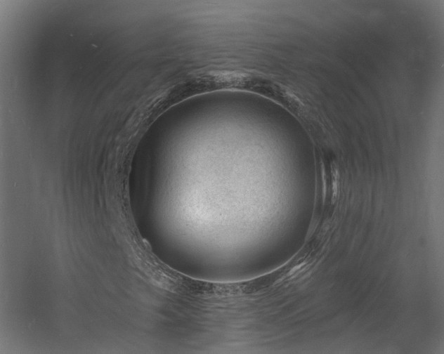 X0000060741249200511101059