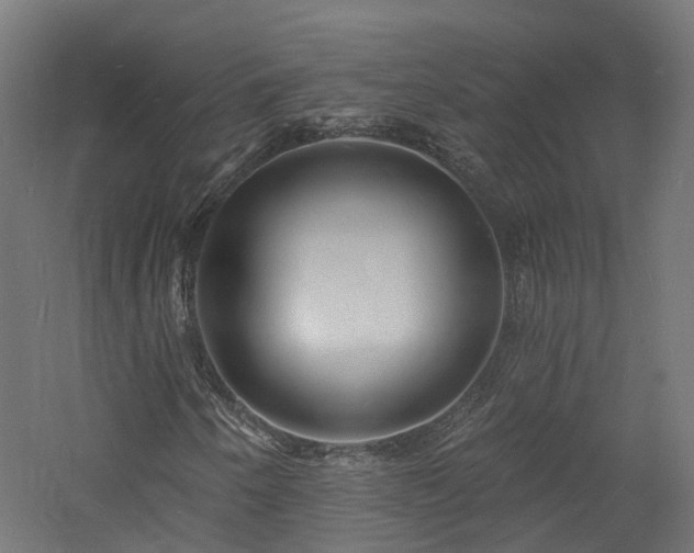 X0000060741250200511101059